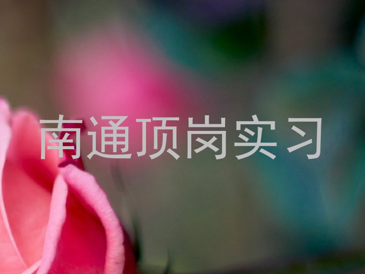 南通顶岗实习