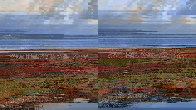 武汉科德中医肿瘤专家组医生开展第二阶段治疗