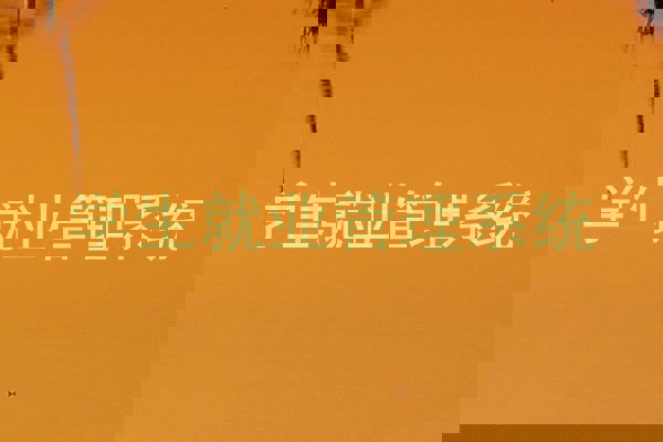 学生就业管理系统