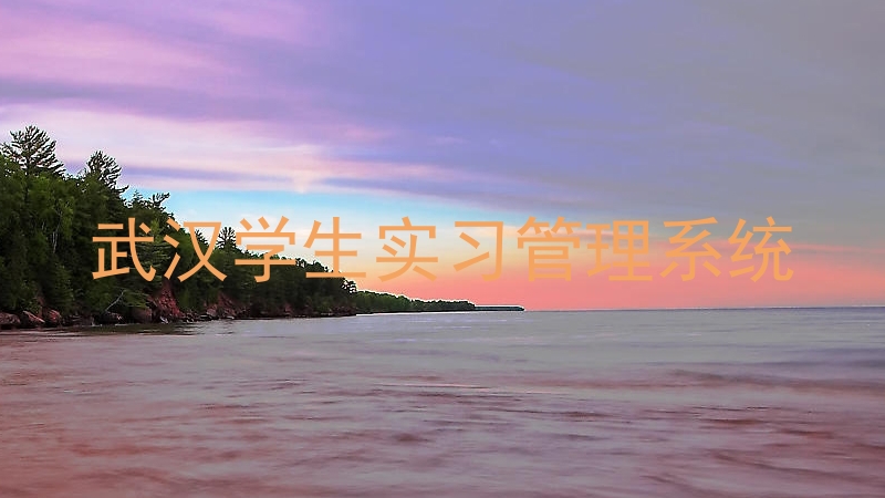 武汉学生实习管理系统