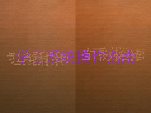 学工系统操作指南