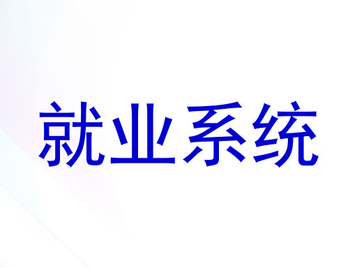 就业系统