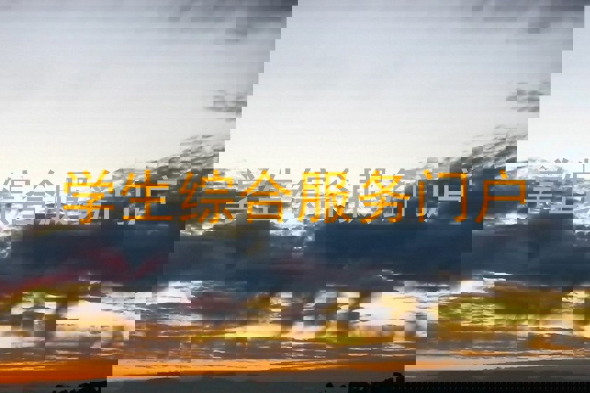 学生综合服务门户