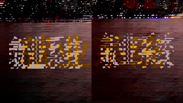 就业系统