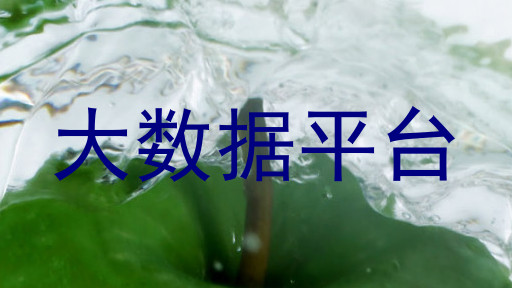 大数据平台