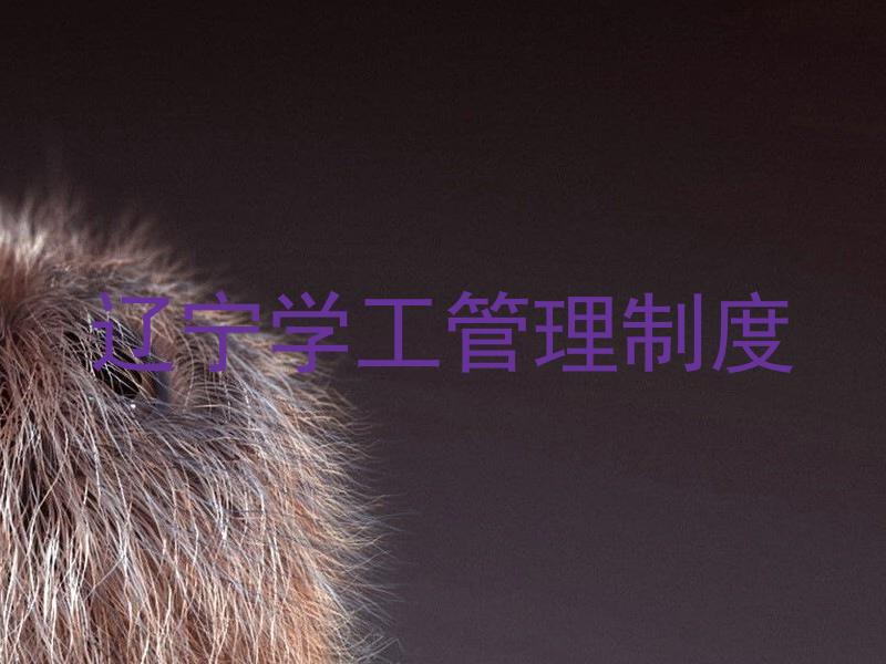 辽宁学工管理制度
