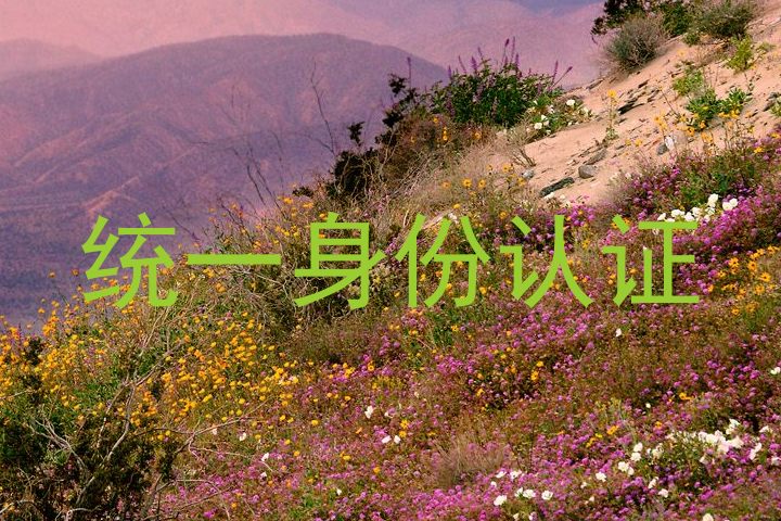 统一身份认证