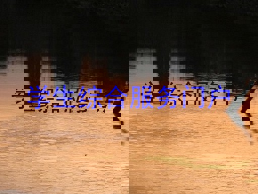 学生综合服务门户