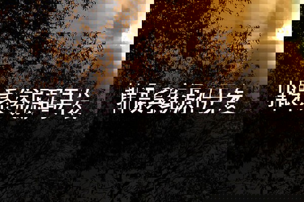 排课系统源码开发