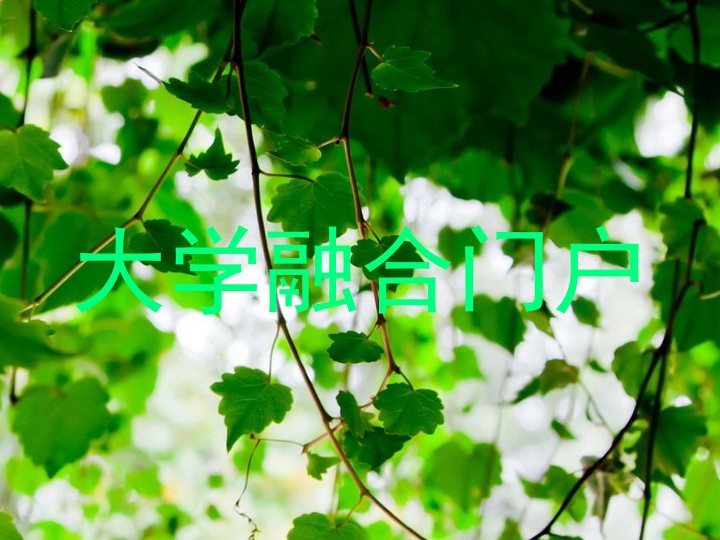 大学融合门户