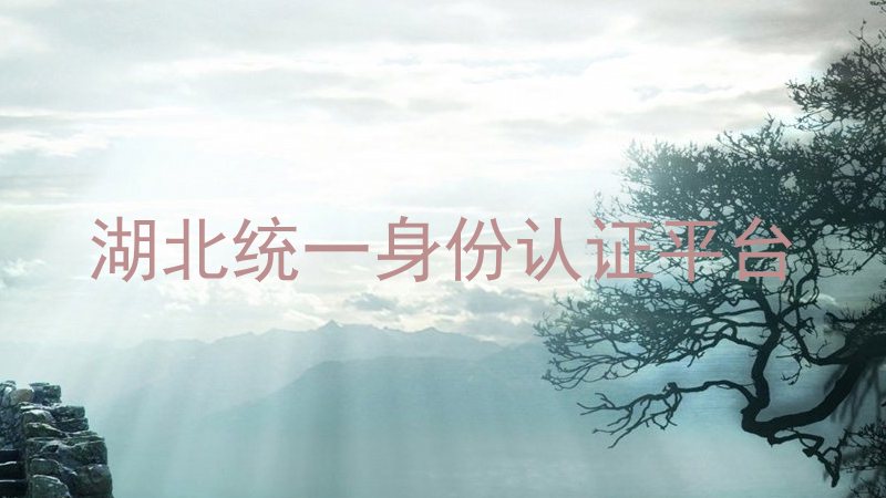 湖北统一身份认证平台