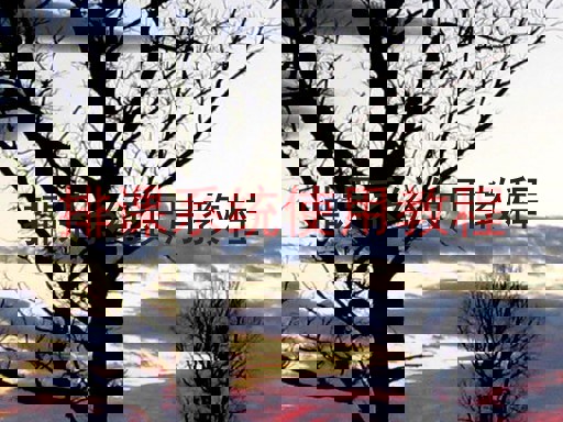 排课系统使用教程