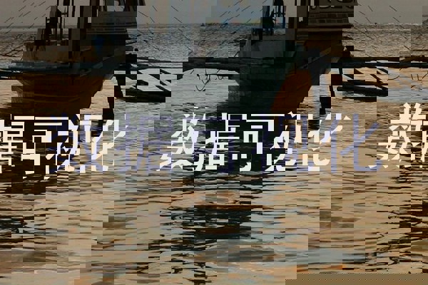 数据可视化