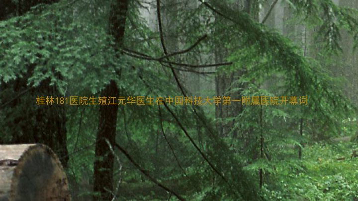 桂林181医院生殖江元华医生在中国科技大学第一附属医院开幕词