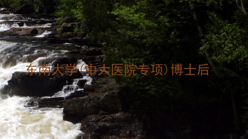 东南大学(中大医院专项)博士后