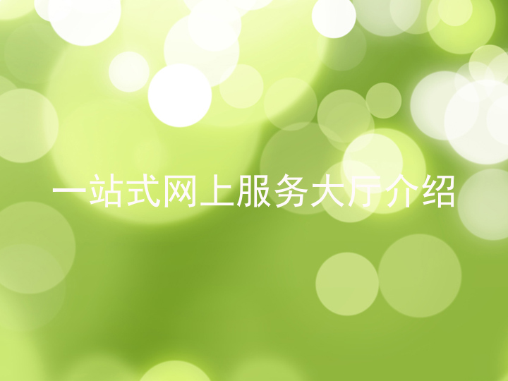 一站式网上服务大厅介绍