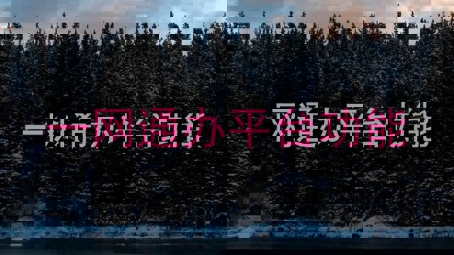 一网通办平台功能