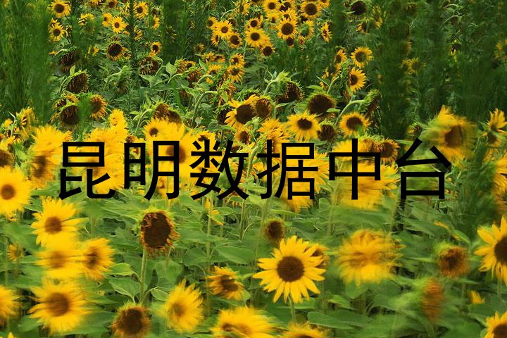 昆明数据中台