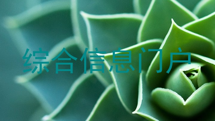 综合信息门户