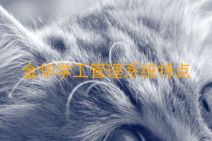 金华学工管理系统特点