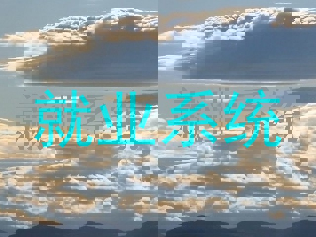 就业系统