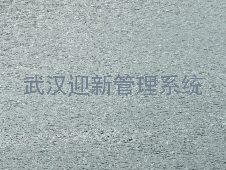武汉迎新管理系统