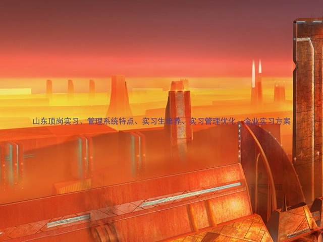 山东顶岗实习、管理系统特点、实习生培养、实习管理优化、企业实习方案