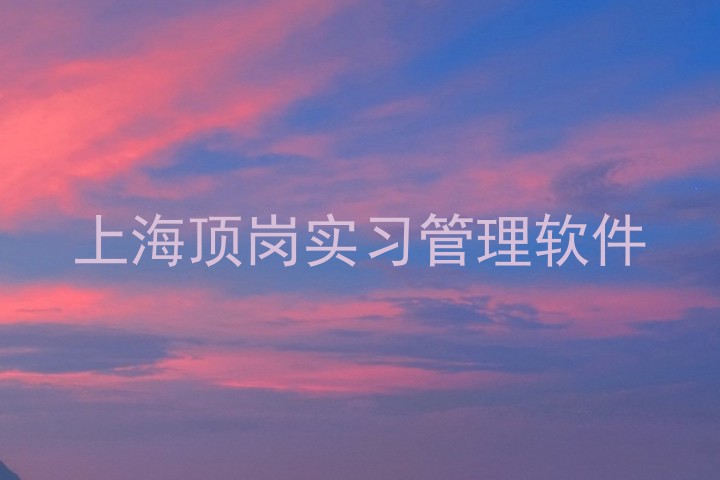 上海顶岗实习管理软件