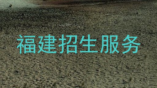 福建招生服务