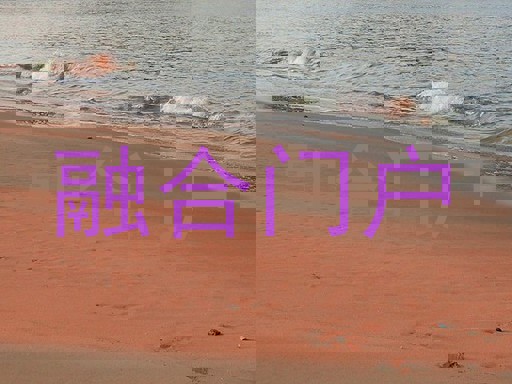 融合门户