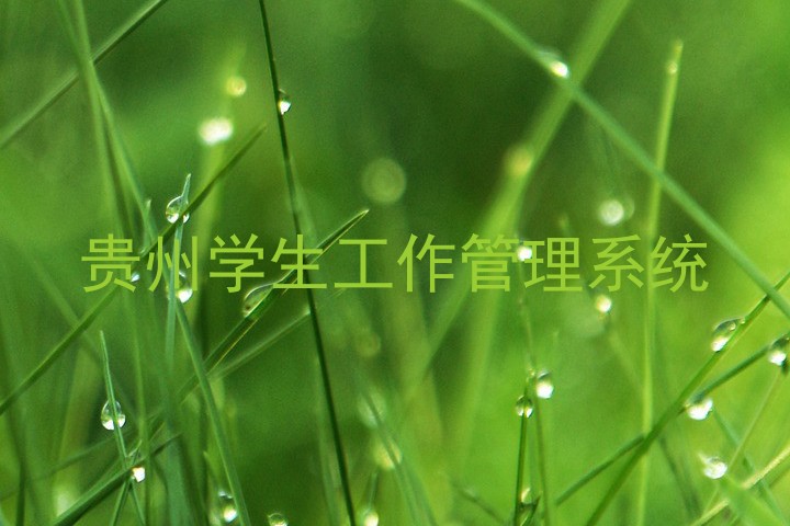 贵州学生工作管理系统