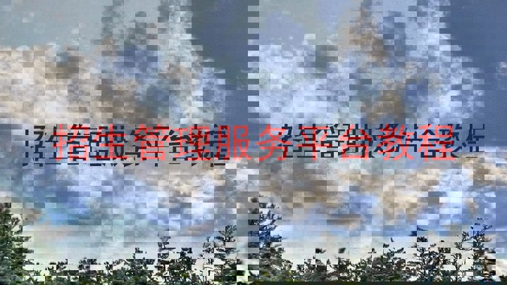 招生管理服务平台教程