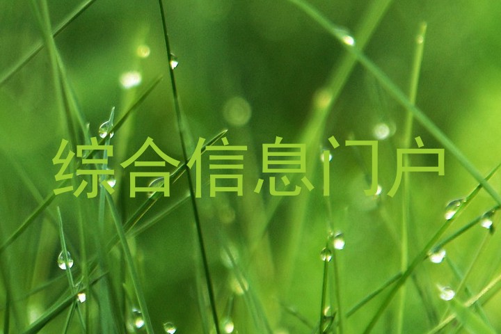 综合信息门户