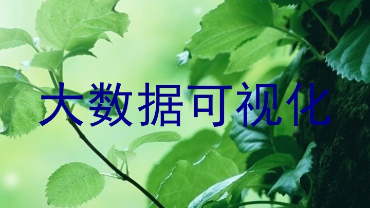 大数据可视化