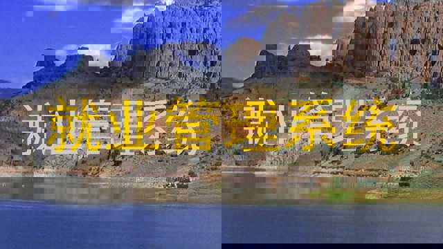就业管理系统
