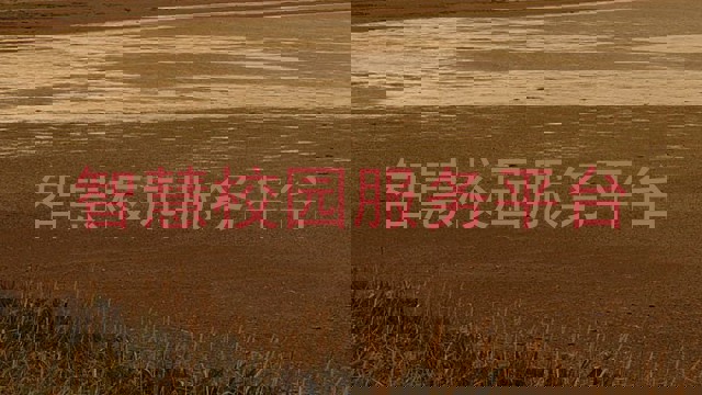 智慧校园服务平台
