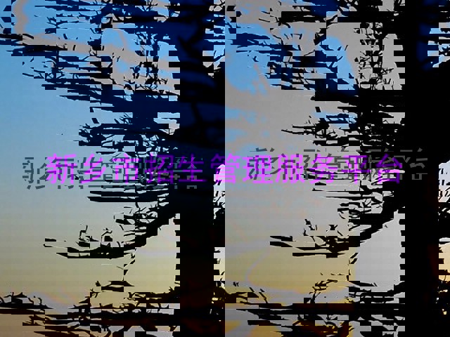 新乡市招生管理服务平台