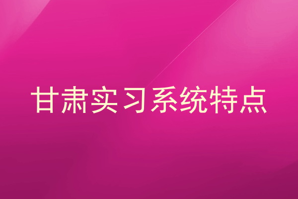甘肃实习系统特点