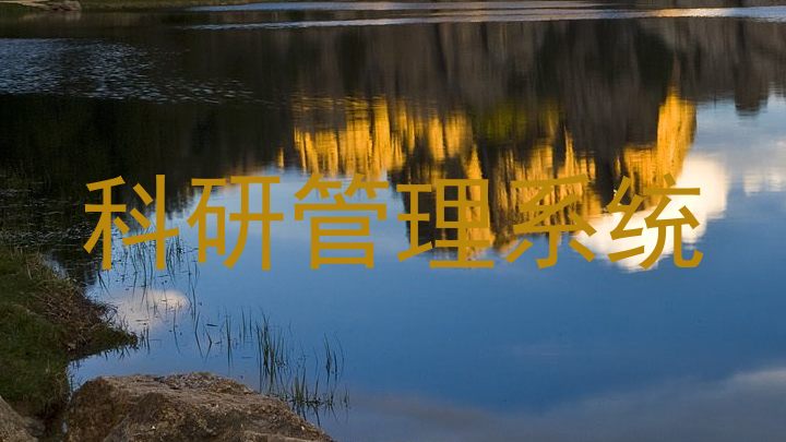 科研管理系统