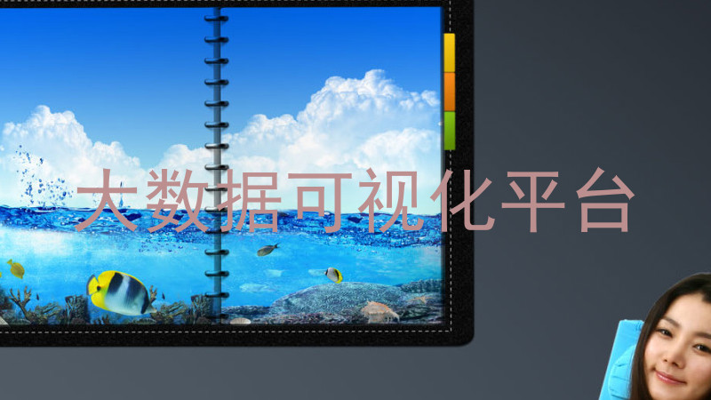 大数据可视化平台