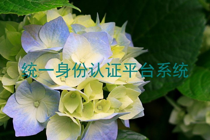 统一身份认证平台系统