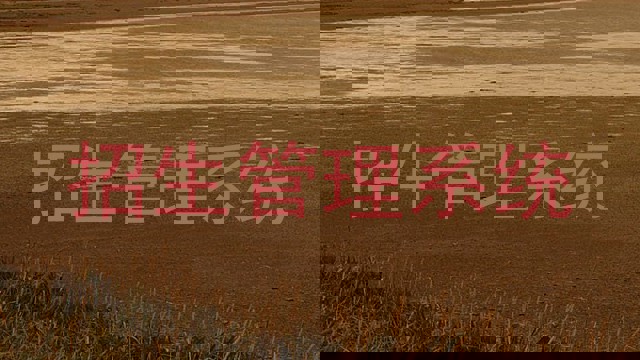 招生管理系统