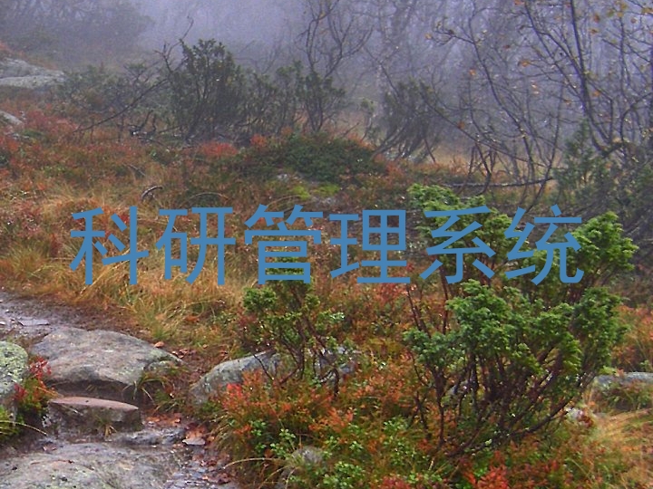 科研管理系统