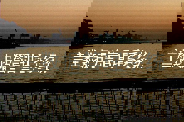 主数据管理系统