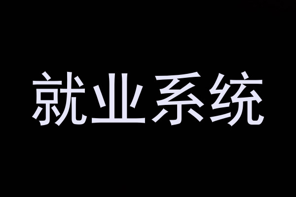 就业系统