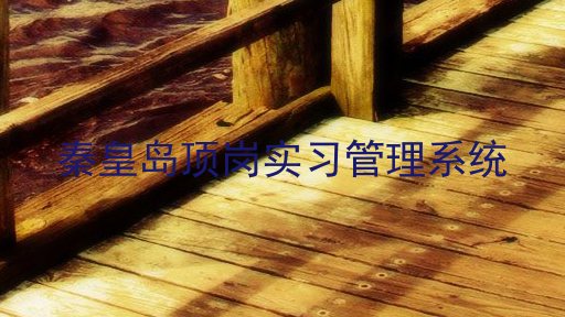 秦皇岛顶岗实习管理系统