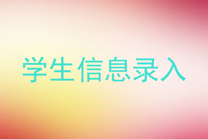 学生信息录入