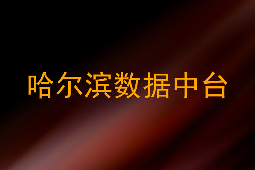 哈尔滨数据中台