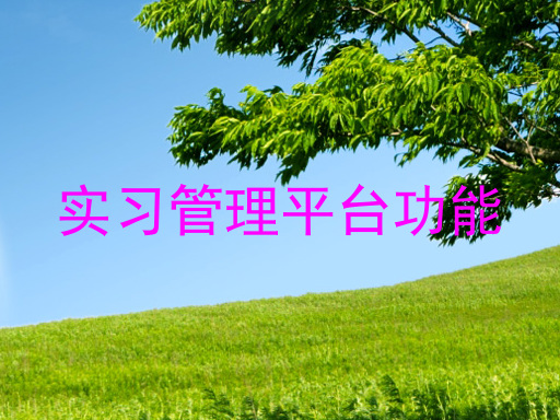 实习管理平台功能