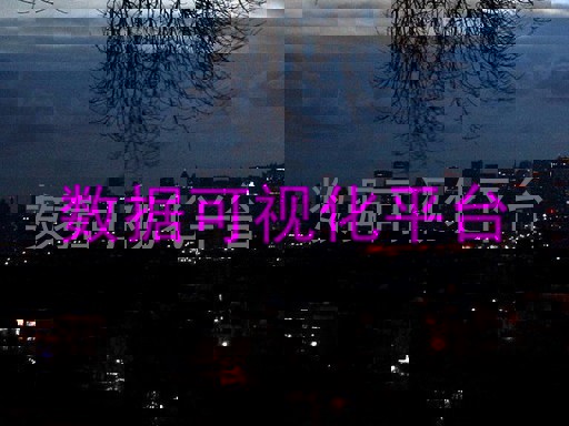 数据可视化平台